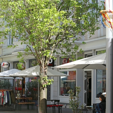 Kessels Frontansicht Laden